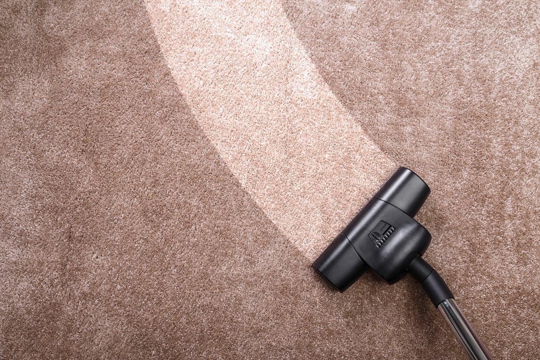 Vacuuming carpet with vacuum cleaner. Housework.